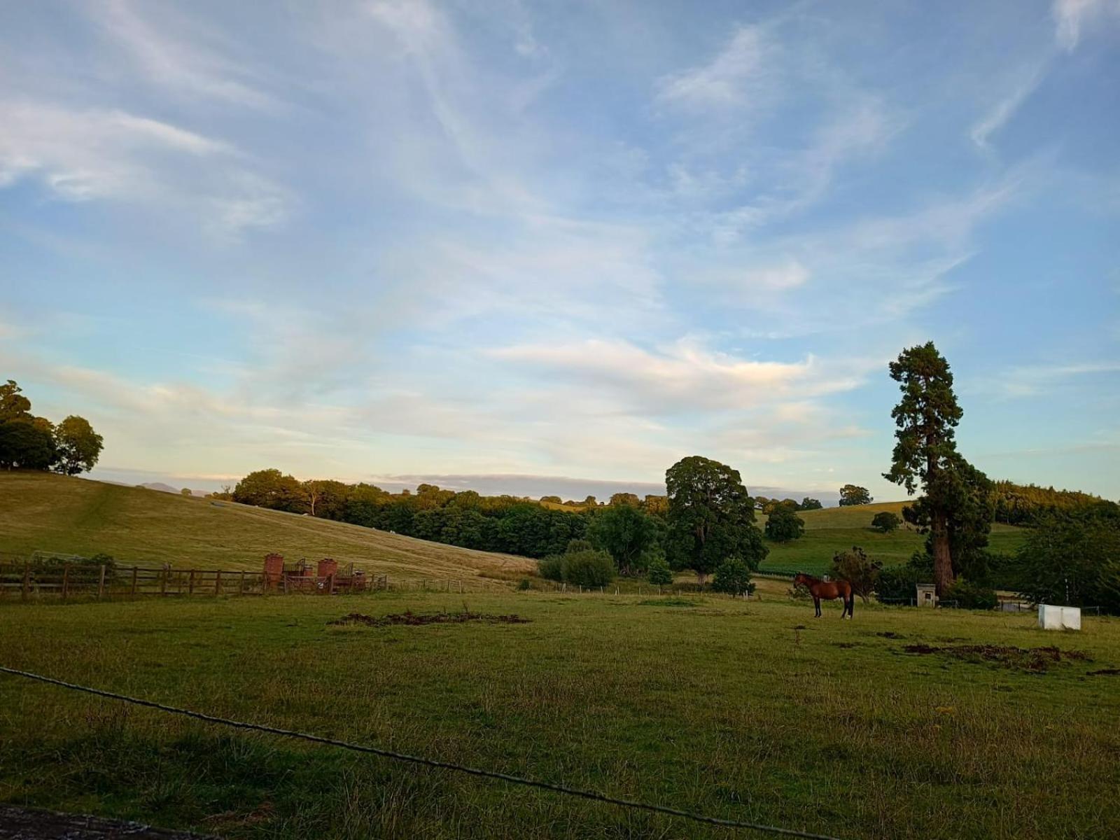The Stables At Eriviat Hall Henllan  Extérieur photo